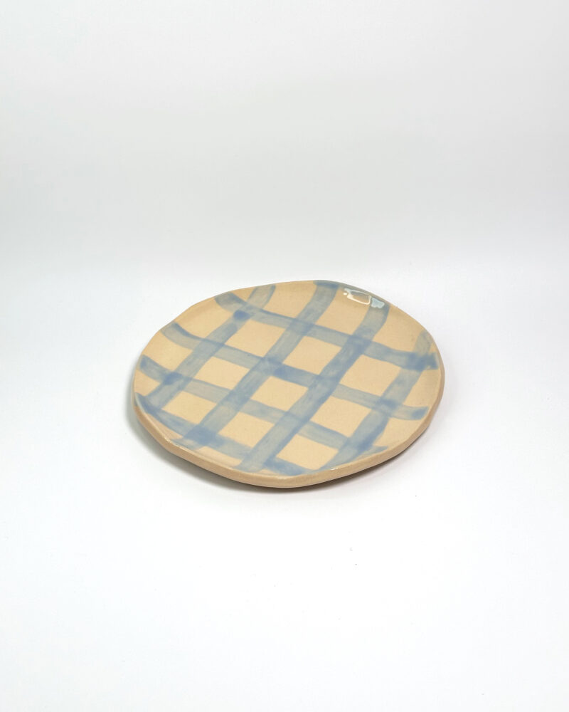 Plato picnic azul - Imagen 4