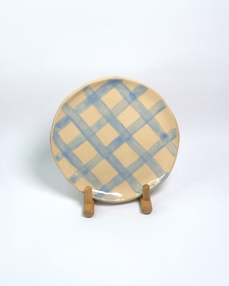 Plato picnic azul